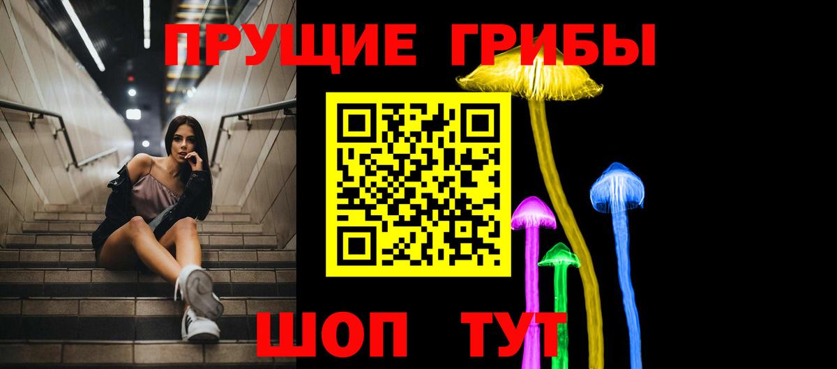 Псилоцибиновые грибы Magic Shrooms  Вход с VPN  Аргун  Галлюциногенные грибы GOLDEN TEACHER 